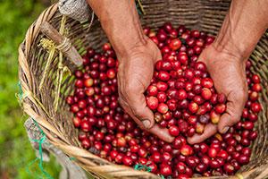 Santa Teresa - Nicaragua