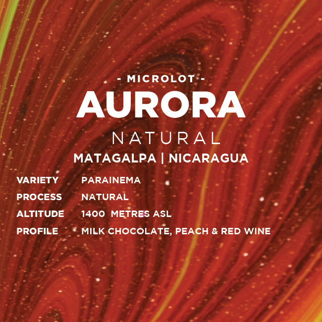 
                  
                    Nicaragua: Aurora
                  
                