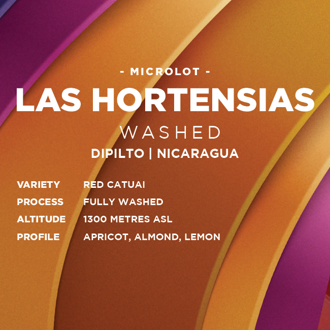 Nicaragua: Las Hortensias