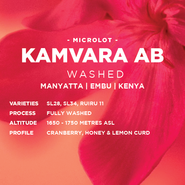 Kenya: Kamvara AB