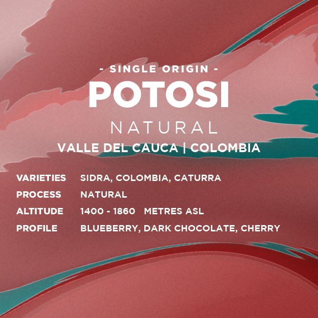 
                  
                    Colombia: Potosi
                  
                