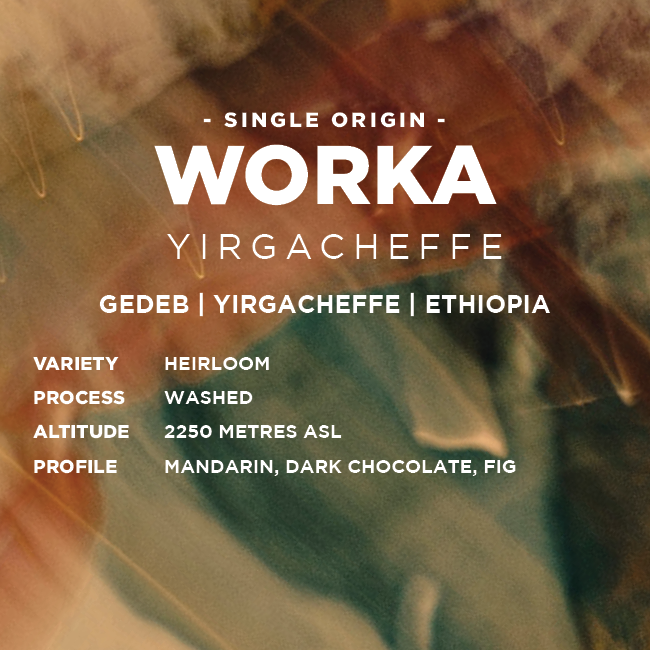 
                  
                    Etiopien: Worka
                  
                