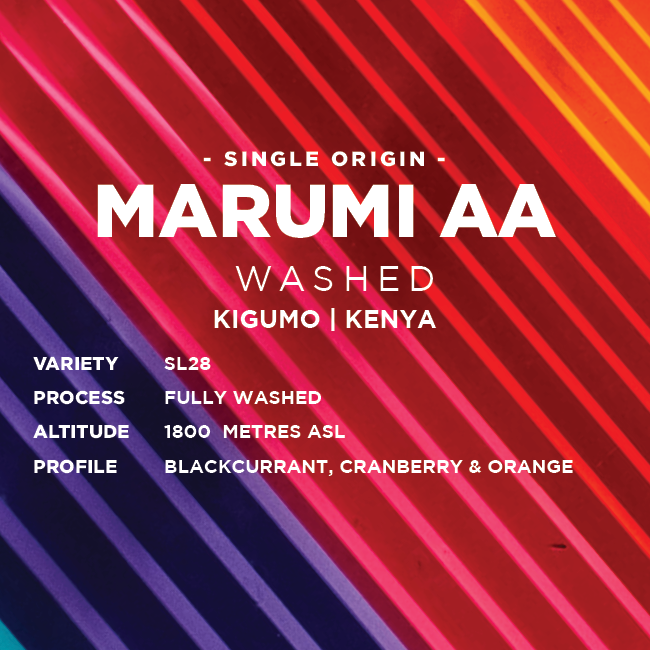 
                  
                    Kenya: Marumi AA
                  
                