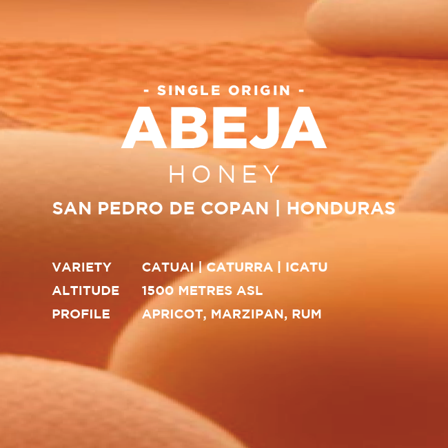 Honduras: Abeja Honey