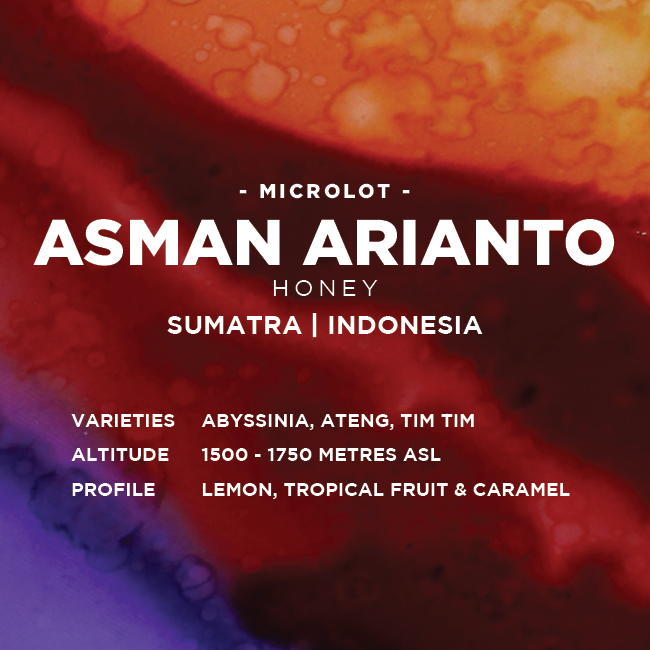 Indonesia: Asman Arianto