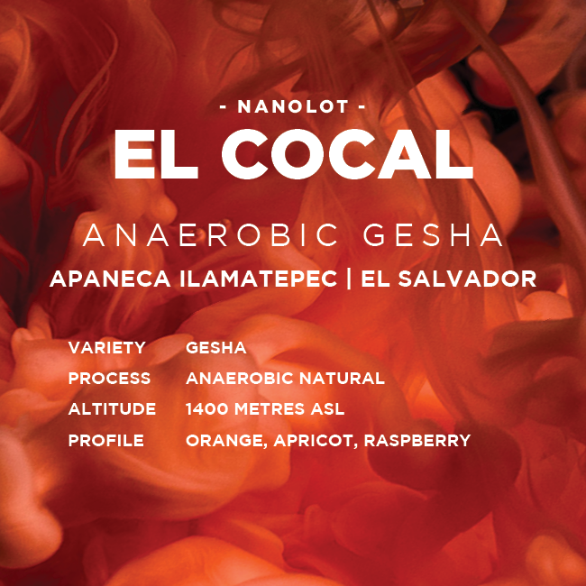 El Salvador: El Cocal - Anaerobic Gesha
