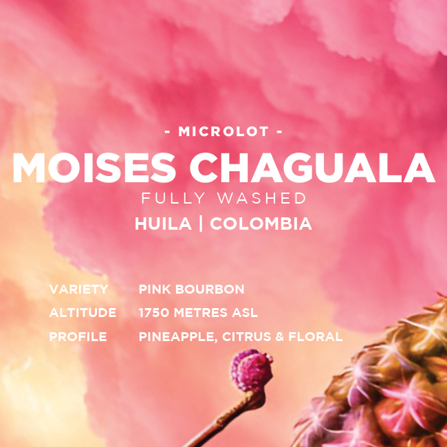 Colombia: Moises Chaguala