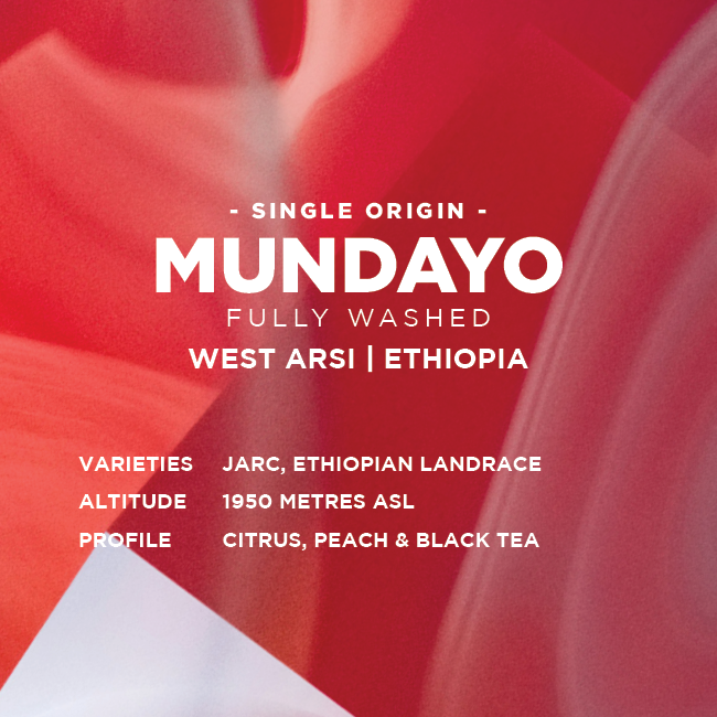 Ethiopia: Mundayo