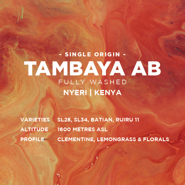 Kenya: Tambaya AB