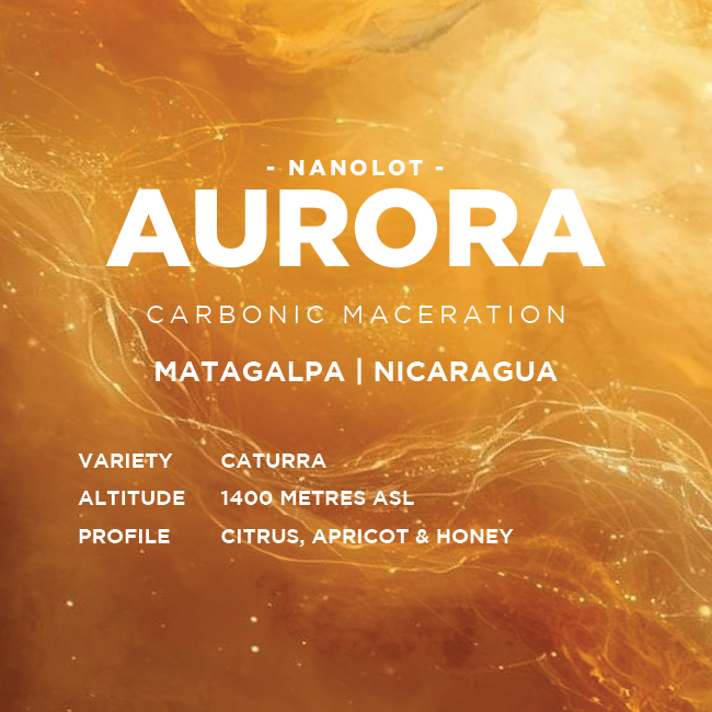 Nicaragua: Aurora Carbonic Maceration