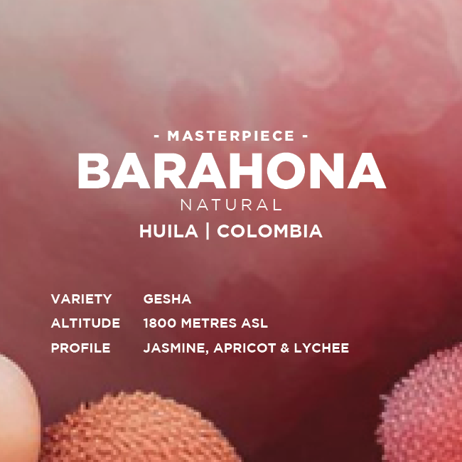 Colombia: Barahona Gesha