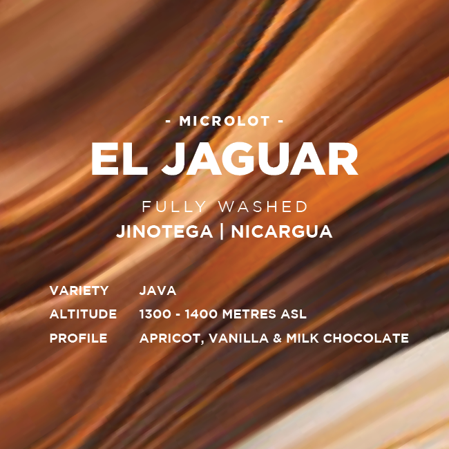 Nicaragua: El Jaguar