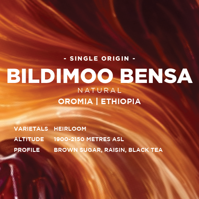 Ethiopia: Bildimoo Bensa
