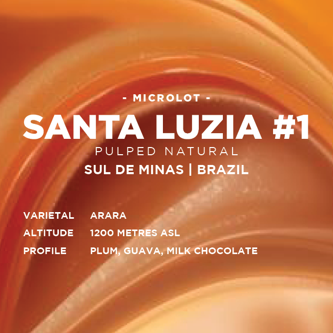 Brazil: Santa Luzia #1