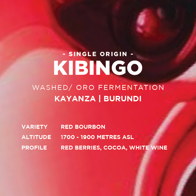 Burundi: Kibingo