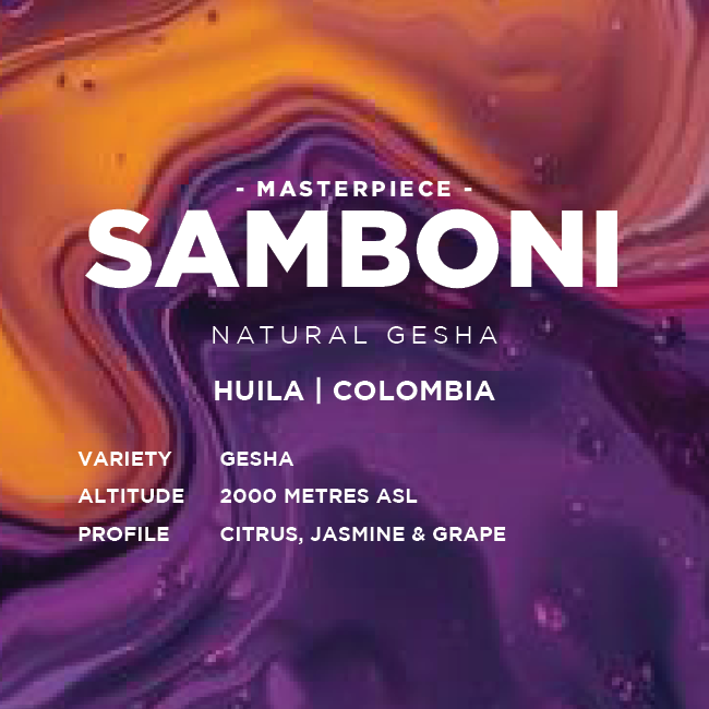 Colombia: Samboni Gesha