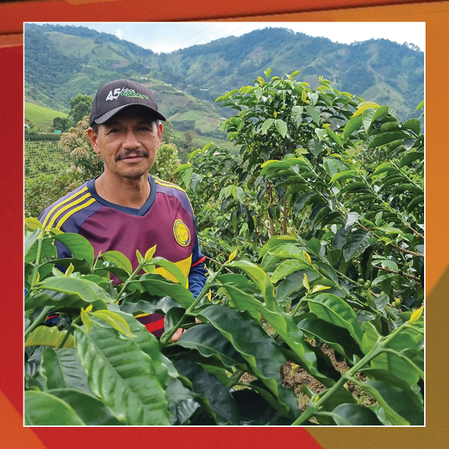 
                  
                    Colombia: El Triunfo
                  
                