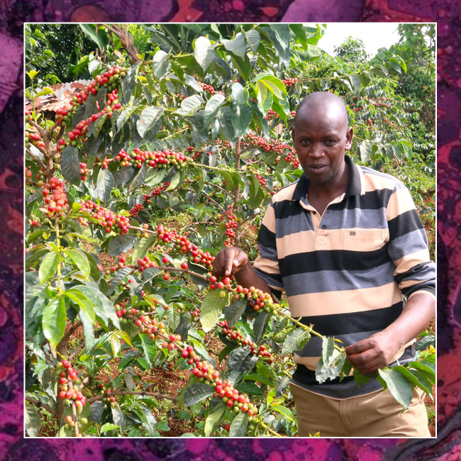 
                  
                    Kenya: Mwirua Getuya
                  
                