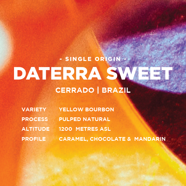 
                  
                    Brazil: Daterra Sweet
                  
                