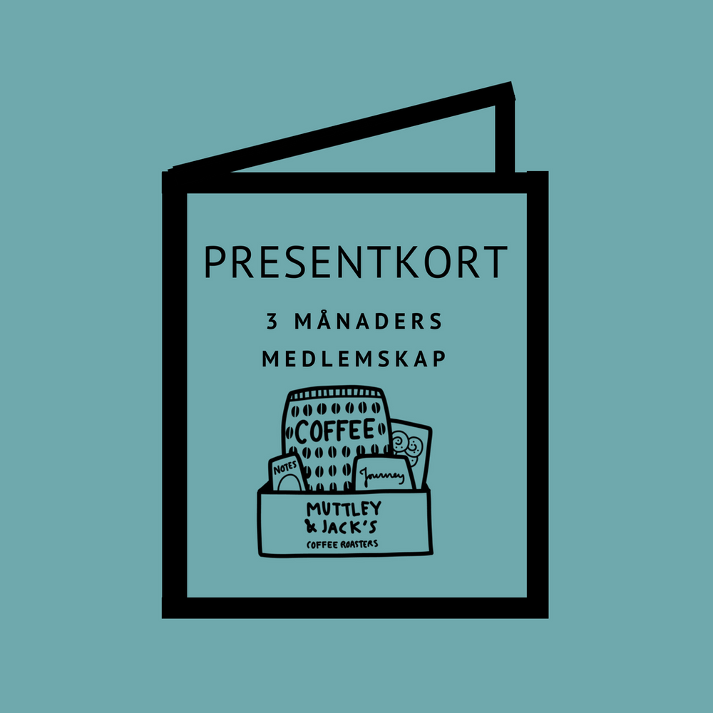 
                  
                    3 Month Gift Subscription (11509)
                  
                