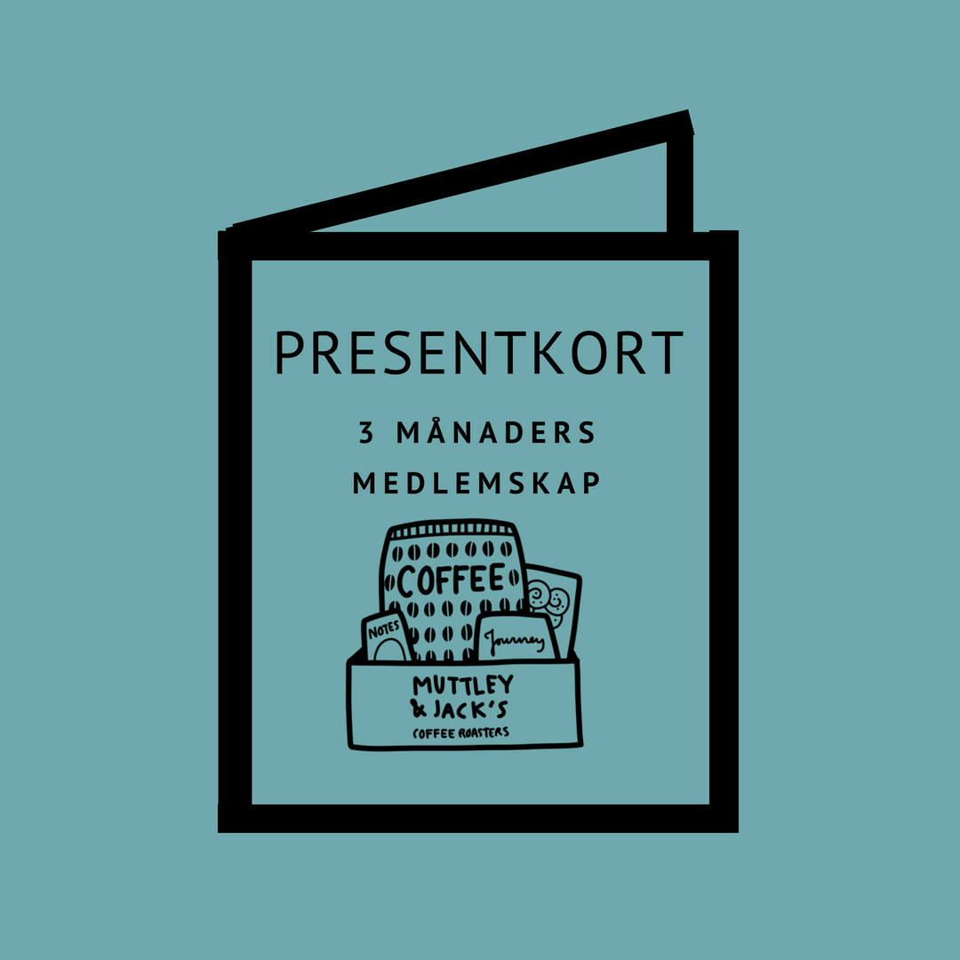 
                  
                    3 Month Gift Subscription (11509)
                  
                