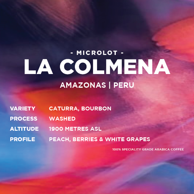 
                  
                    Peru: La Colmena
                  
                