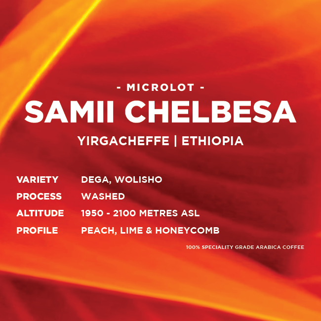 
                  
                    Etiopien: Samii Chelbesa #3
                  
                
