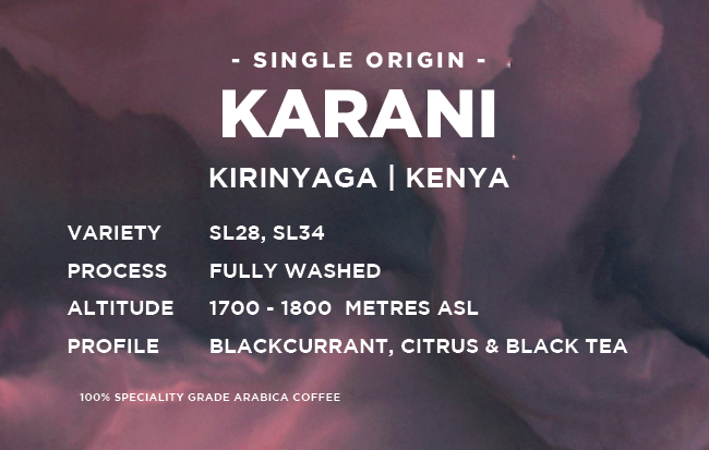
                  
                    Kenya: Karani AA - SL28, SL34  - Tvättat - Kirinyaga
                  
                