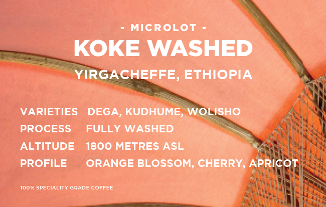 
                  
                    Etiopien: Koke Washed- Yirgacheffe - Heirloom
                  
                