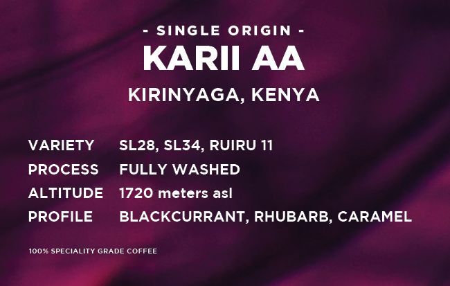 
                  
                    Kenya: Karii AA - SL28, SL34, Ruiru 11  - Tvättat
                  
                