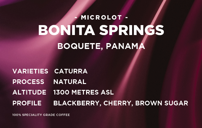 
                  
                    Panama: Bonita Springs - Natural - Caturra
                  
                