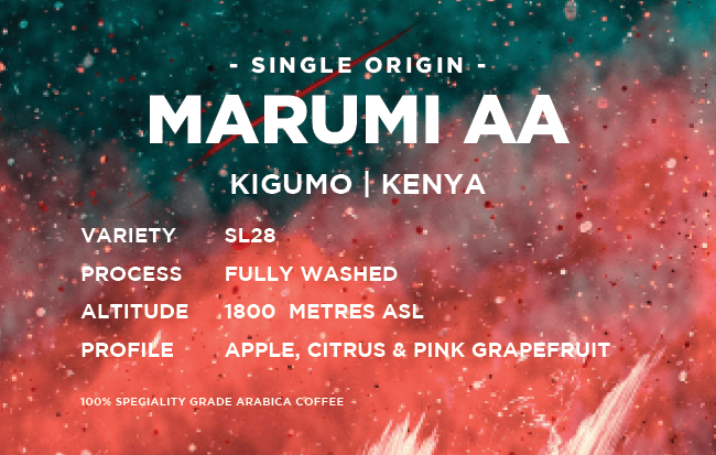 Kenya: Marumi AA- Washed SL28