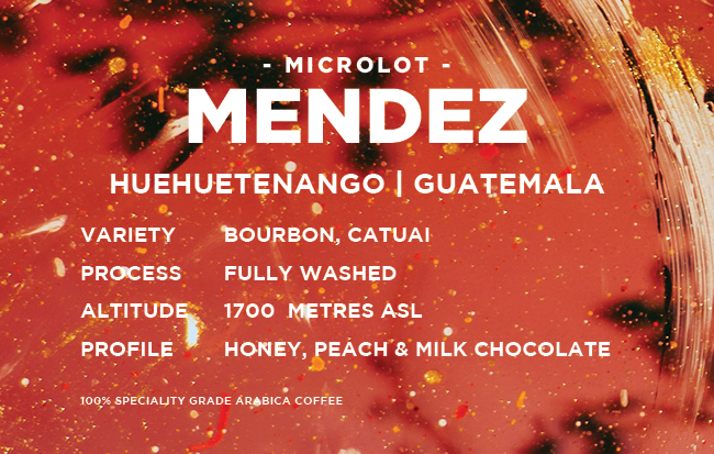 Guatemala: Mendez- Washed Bourbon & Catuai